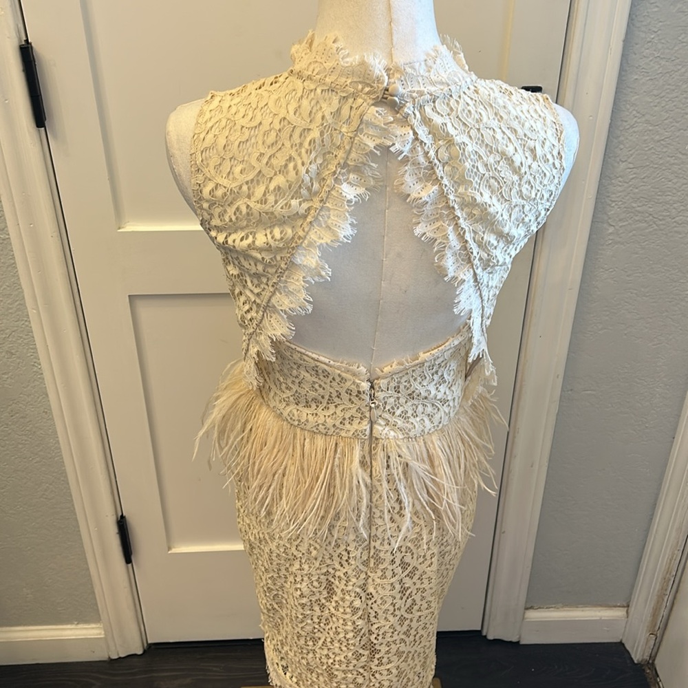 Feather and Lace Dress - Picture 5 of 14